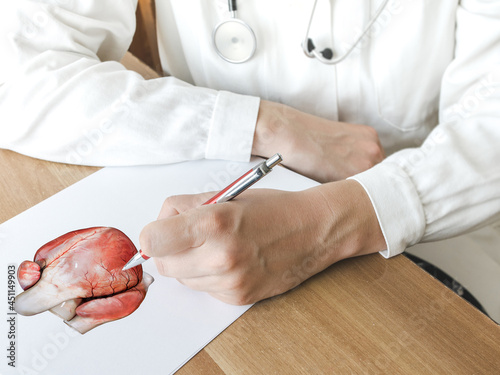 Doctor describing the heart on a clipboard in medical office