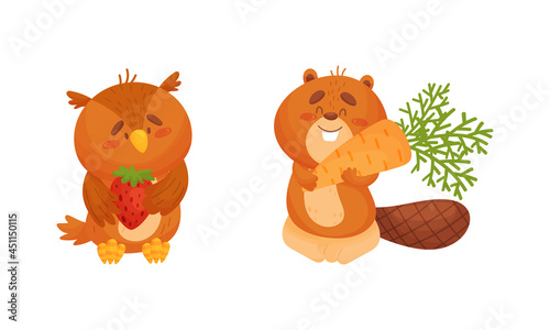 Fototapeta Naklejka Na Ścianę i Meble -  Adorable animals harvesting set. Cute bear and owl carrying strawberry and carrot cartoon vector illustration
