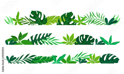 Summer tropical leaves borders set. Rainforest foliage frame template. Invitation, greeting card, postcard design vector illustration