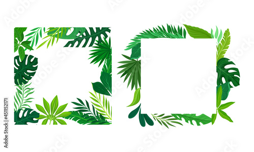 Summer tropical leaves frame set. Frames of square shape with palm leaves, invitation, greeting card, postcard design vector illustration