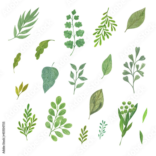 Green leaves set, simple hand drawn watercolor botanical floral illustration for any design purposes can be used for different decor, greeting cards, wedding invitations, menu, banner