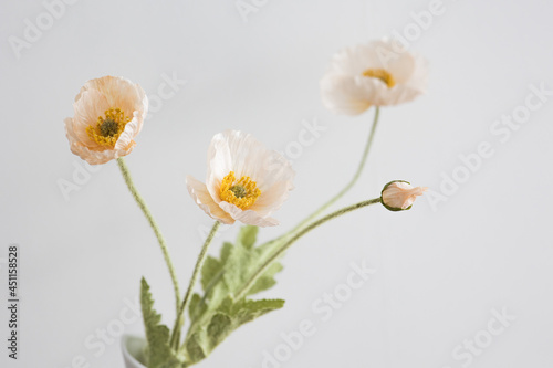 Poppies in a vase on the white background.