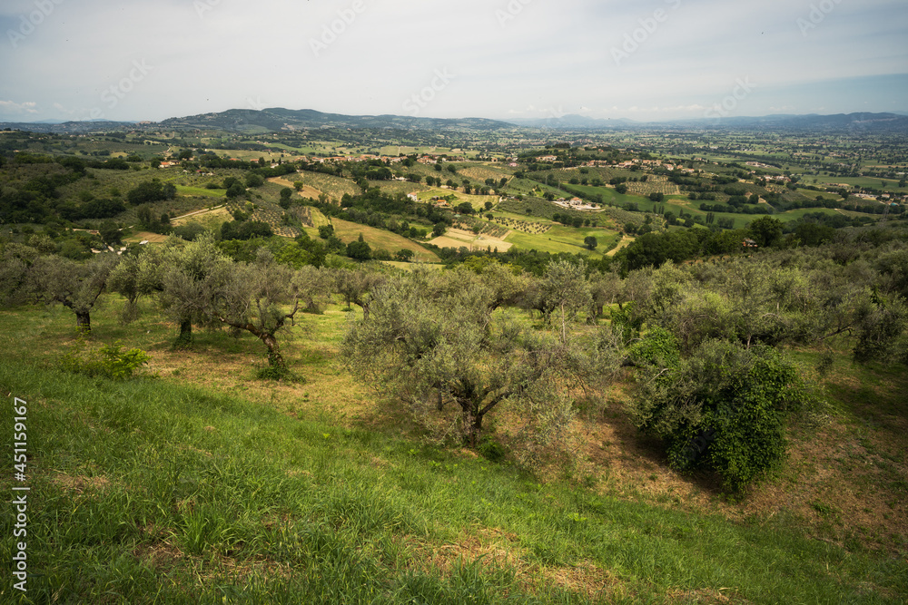 Panorama from the beautiful town of Montefalco, Umbria Panorama from the beautiful town of Montefalco, Umbria