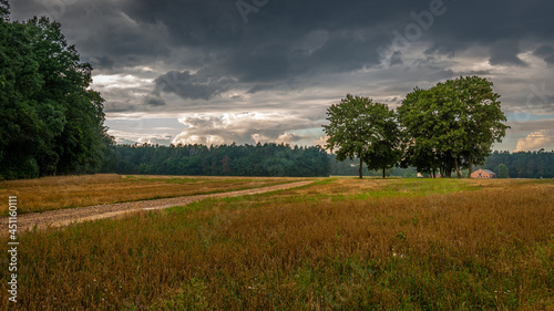 Wiejski krajobraz  © Kacper