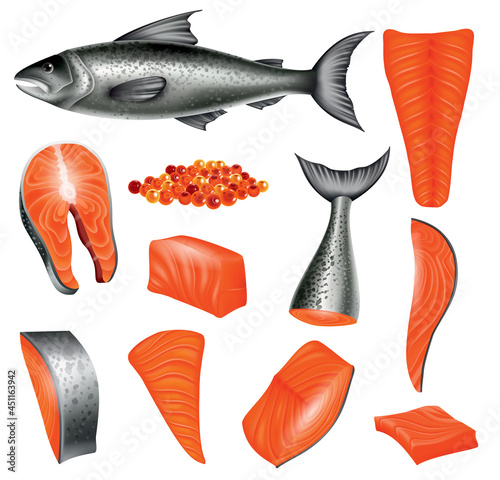 Salmon in different cuts and salmon eggs. Red fish isolated on white background. Raw seafood vector illustration. Realistic product of healthy nutrition