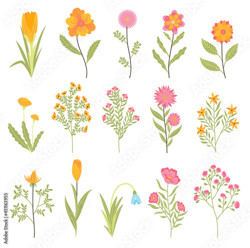 Spring flowers. Botanical floral design set. Garden floral plants on white background. Colorful flat vector illustration. Good decoration for wedding invitations or scrapbook