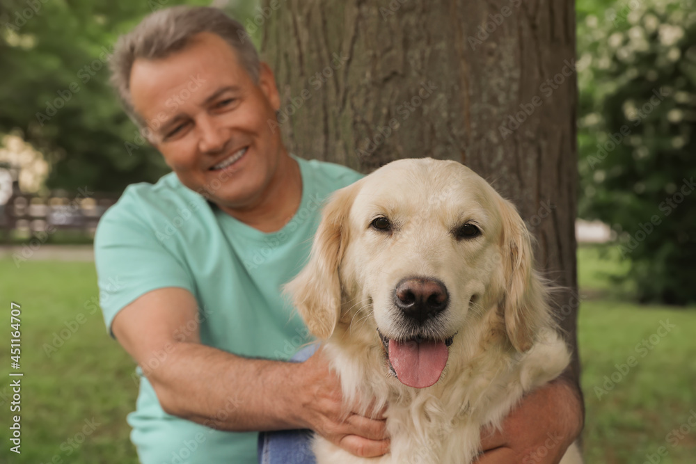 Happy senior man with his Golden Retriever dog resting under tree in park
