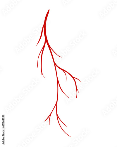 Human veins. Red silhouette vessel, arteries or capillaries on white background. Concept anatomy element for medical science. Vector isolated symbol of blood system