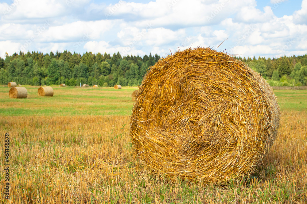 Hay bales in a farm field after harvest.