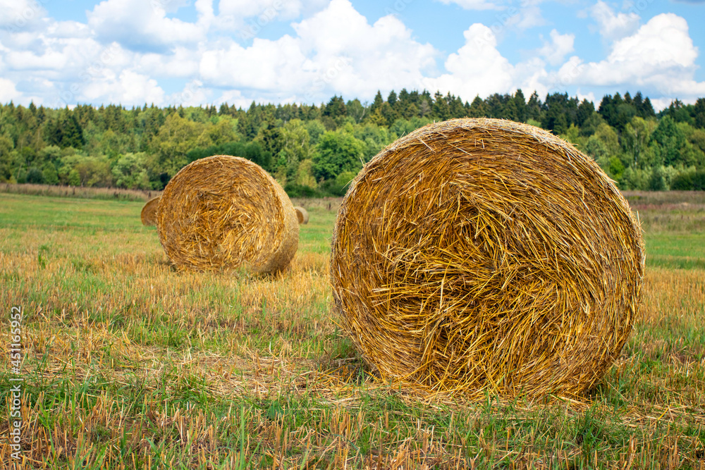 Hay bales in a farm field after harvest.