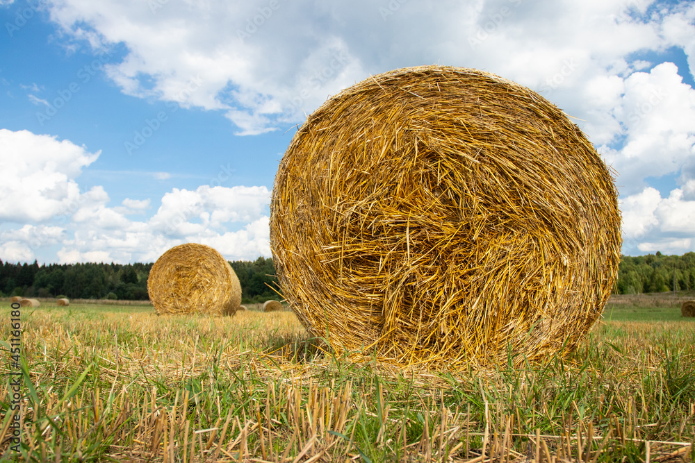 Hay bales in a farm field after harvest.