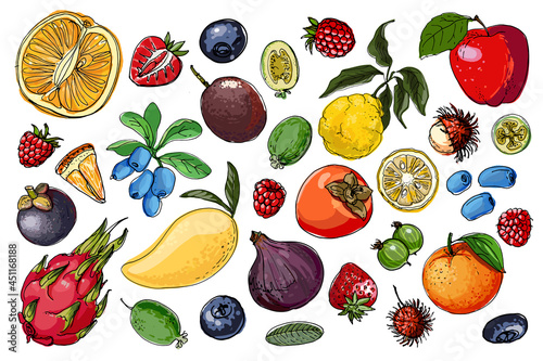 Fototapeta Naklejka Na Ścianę i Meble -  Fruits food vector. Color sketch of products. Decor for kitchen and restaurant. Farm fruits and berries.