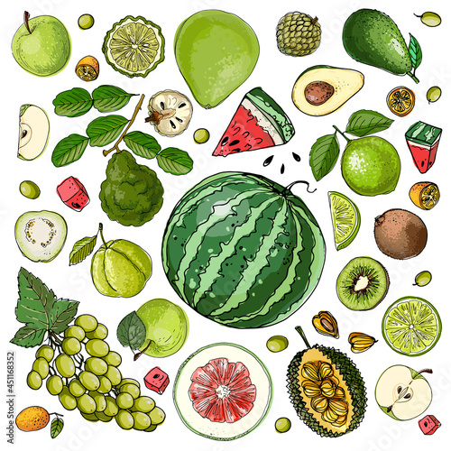 Fruits food vector. Color sketch of products. Decor for kitchen and restaurant. Farm fruits and berries.