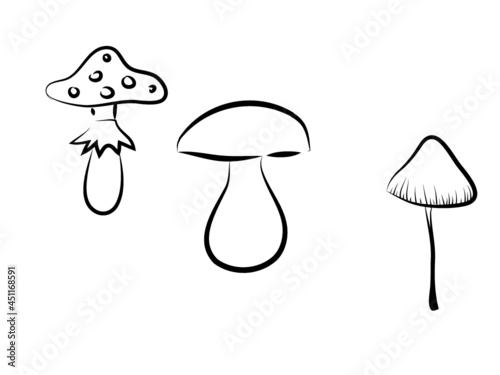 mushrooms
