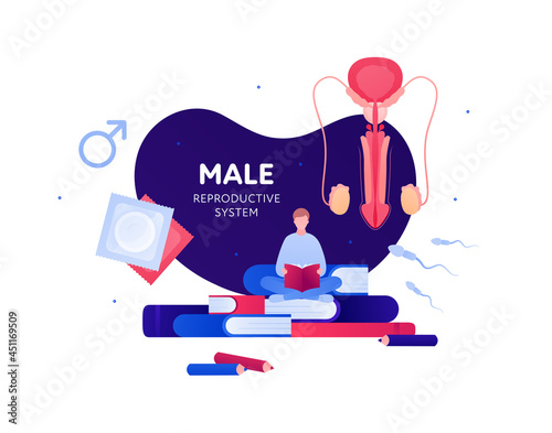 Sex education reproductive system biology class concept. Vector flat illustration. Banner template. Student sitting with book. Condom contraception and gender symbol. Design for education.