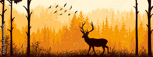 Horizontal banner. Silhouette of deer standing on meadow in forrest. Silhouette of animal  trees  grass. Magical misty landscape  fog. Orange  black and brown illustration. Bookmark.