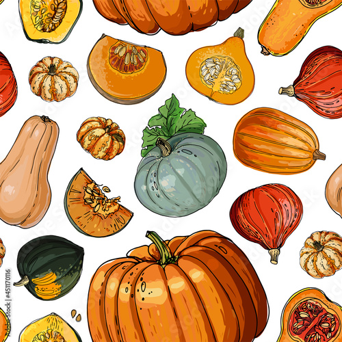 Seampless pattern vector vegetable food. Orange And Gray Pumpkin. autumn ornament