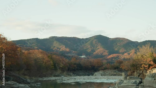 マジックアワーに撮影された秋の森の景色