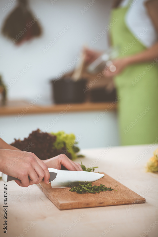 Unknown young woman slicing greens for a delicious fresh vegetarian salad while sitting and smiling at the kitchen desk, just hands, close-up. Cooking concept Unknown young woman slicing greens for a delicious fresh vegetarian salad while sitting and smiling at the kitchen desk, just hands, close-up. Cooking concept