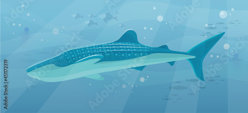 Underwater landscape with large predatory marine fish. Whale swimming in ocean, bottom of sea. Humpback whale and marine life in salty sea water. Aquatic world, ocean floor with algae and corals