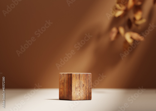 Fototapeta Naklejka Na Ścianę i Meble -  3D background, wood pedestal podium on natural dry autumn leaf shadow beige backdrop. Fall product promotion Beauty cosmetics wooden display. Nude Studio Minimal showcase 3D render advertisement.