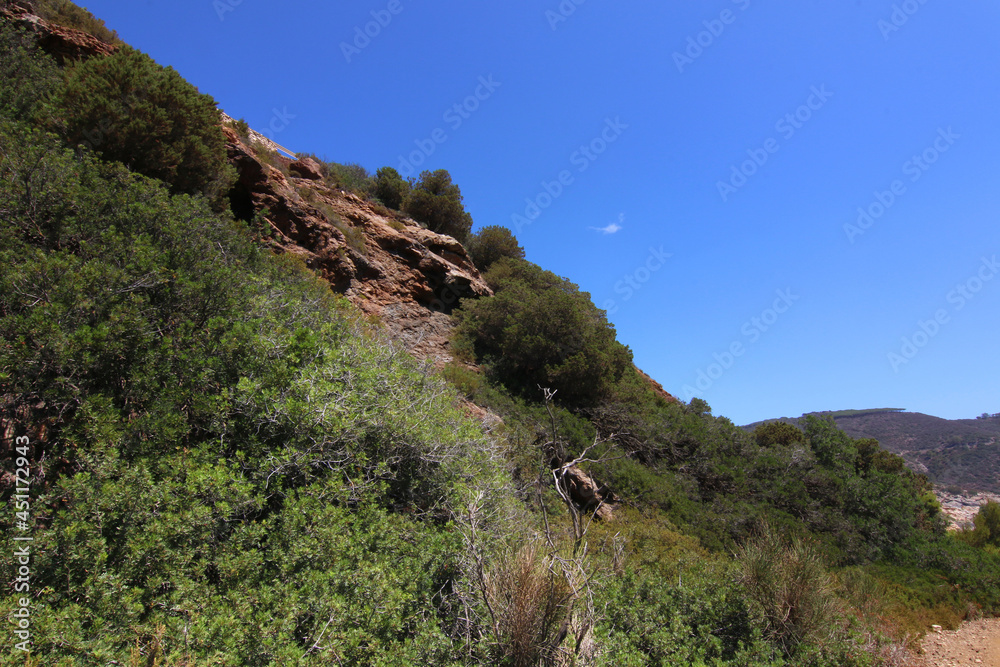 Affioramenti rocciosi ricchi in ferro tra la vegetazione spontanea dell’Isola d’Elba, Toscana, Italia Affioramenti rocciosi ricchi in ferro tra la vegetazione spontanea dell’Isola d’Elba, Toscana, Italia