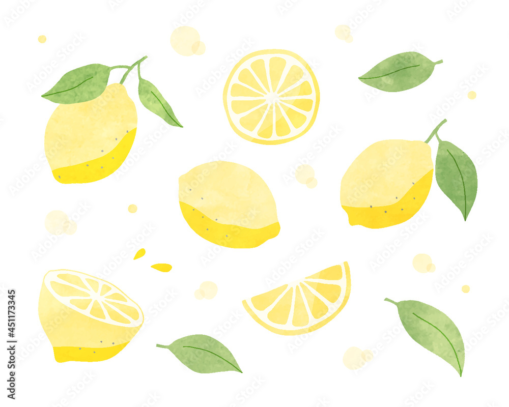 レモンの水彩風イラストのセット フルーツ 果物 柑橘系 シトラス 夏 かわいい 果実 断面 手描き Stock Vector Adobe Stock