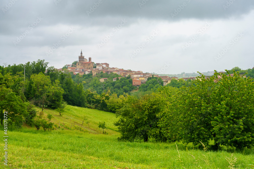 Landscape of Monferrato near Camagna at springtime