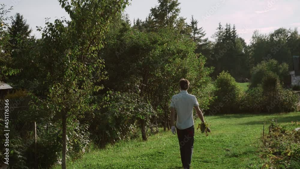 Caucasian male farmer in white gloves with beet tops in his hands walks through the farm Caucasian male farmer in white gloves with beet tops in his hands walks through the farm