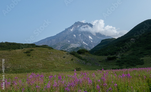 Wallpaper Mural View of Viluchinskiy volcano in summer. Kamchatka Torontodigital.ca