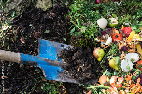Earthworms in the soil on blue color shovel, compost box outdoors full with garden browns and greens and food  wastes,  sustainable life concept  photo