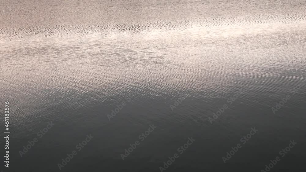 The surface of a lake or river on a summer evening. The light of the setting sun is reflected on the water. Beautiful nature background The surface of a lake or river on a summer evening. The light of the setting sun is reflected on the water. Beautiful nature background