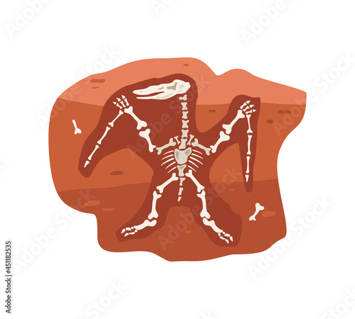Archaeological fossil with dinosaurs skeleton flat vector illustration isolated.