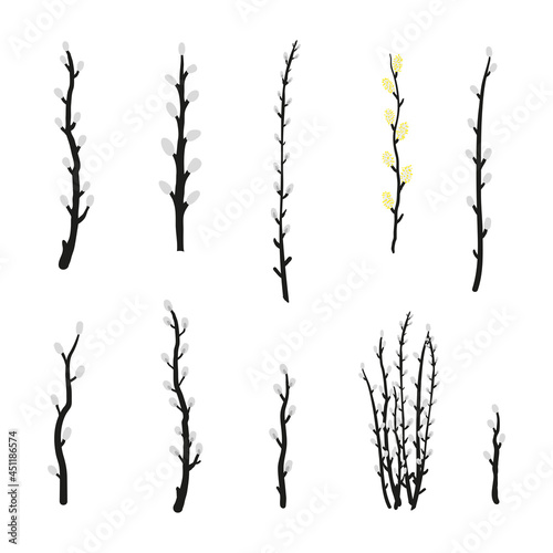 Collection of pussy willow branches.