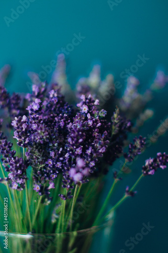 lavender flower large blue background