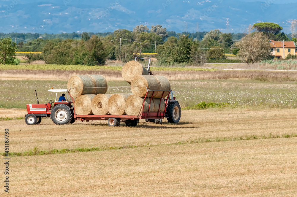 Obraz premium Large hay bales are loaded on a trailer in the Tuscan countryside, Italy
