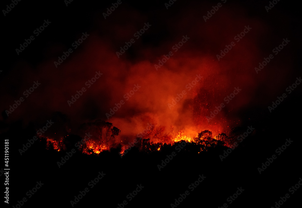 Wildfire At Night