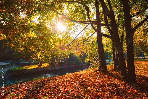 Golden autumn fall October in famous Munich relax place - Englishgarten. Munchen  Bavaria  Germany
