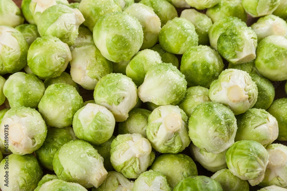 Fresh green bunch of brussel sprouts Fresh green bunch of brussel sprouts