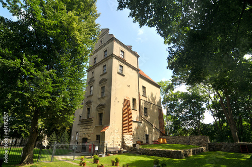 Stary zamek w Płotach, Polska