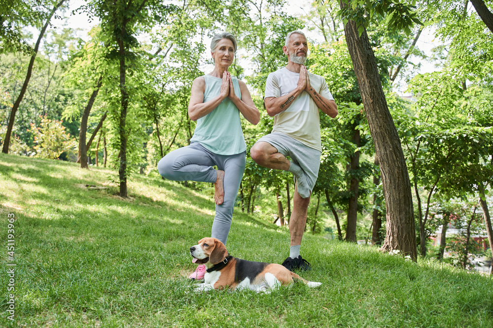 Obraz premium Mature couple making exercises at the nature at the open air