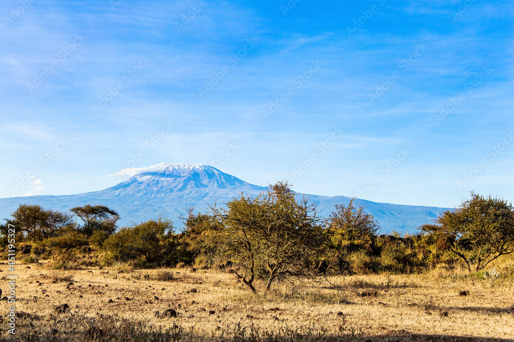 Naklejka premium The snow-capped Mount Kilimanjaro