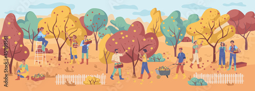 Harvesting people gather apple fruits, autumn fall garden with orange, yellow and green leaves. Vector man and woman flat cartoon characters with baskets and boxes, on ladder, pushing trolley cart