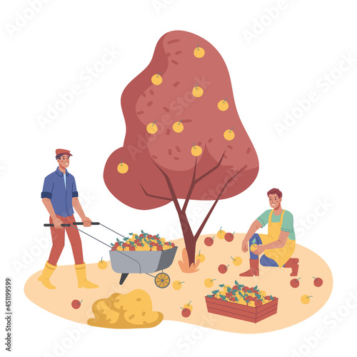 Autumn garden, people working on plantation picking or plucking apples from trees isolated. Vector man farmers gathering fruits in trolley cart, wooden box. Orchard with ripe harvest, flat cartoon