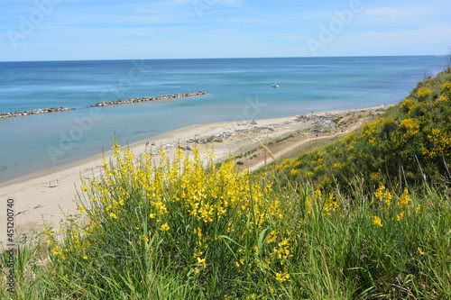 spiaggia naturale di fiorenzuola di focara a pesaro