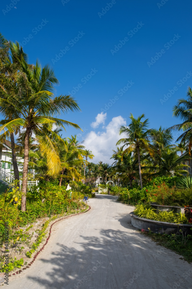 path with palms and flowers in Crossroads Maldives resort. Saii lagoon, july 2021