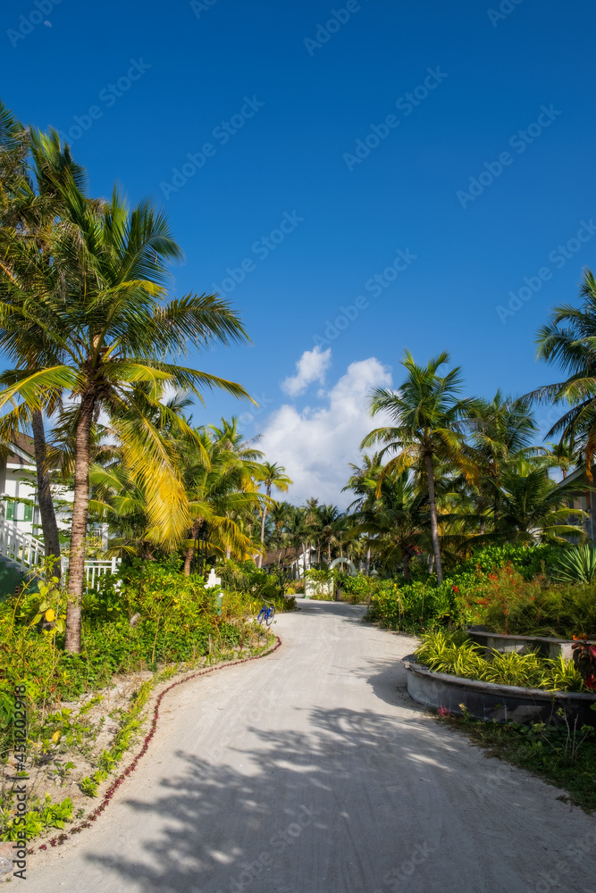 path with palms and flowers in Crossroads Maldives resort. Saii lagoon, july 2021 path with palms and flowers in Crossroads Maldives resort. Saii lagoon, july 2021