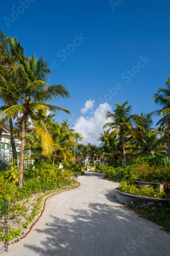 path with palms and flowers in Crossroads Maldives resort. Saii lagoon  july 2021