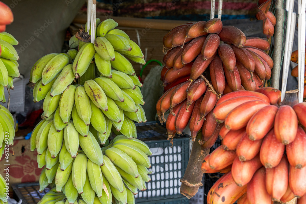 Tropical fruits, red bananas and yellow bananas