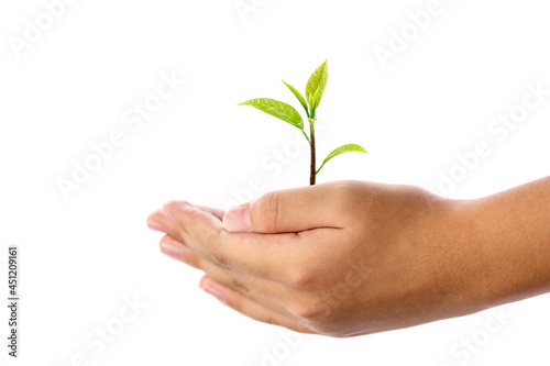 Human hand holding young plant isolated on white background, use for the concept of environmental conservation and saving the world.